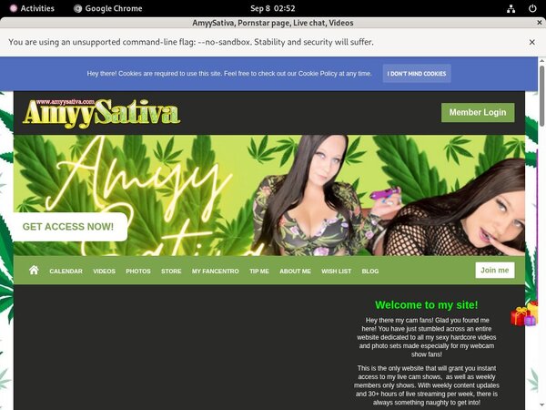 Amyysativa.com Jpost