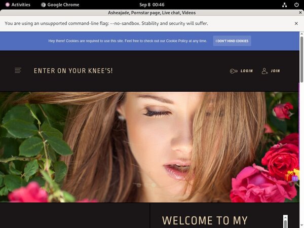 Ashea.modelcentro.com With Pay Pal