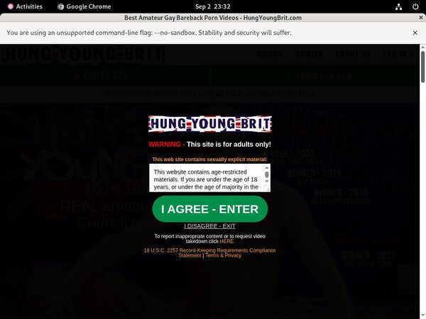 Brit Young Hung Free Accounts