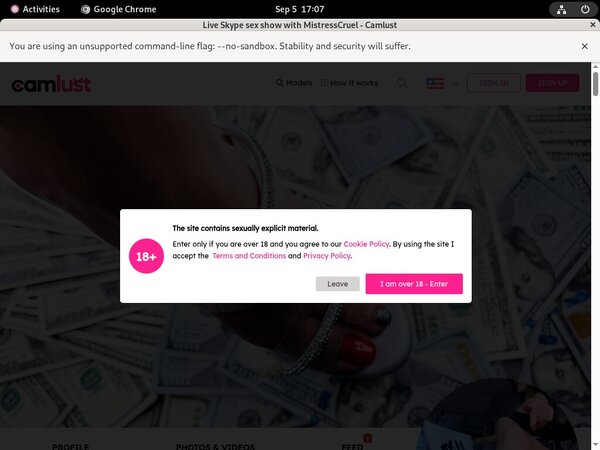 Camlust.com Free Accounts And Passwords