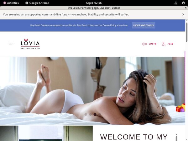 Contas Premium EvaLovia