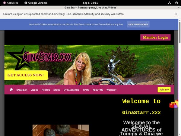 Free Access To Ginastarr.xxx