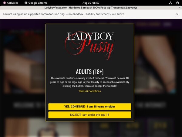 Free Account Pussy Ladyboy