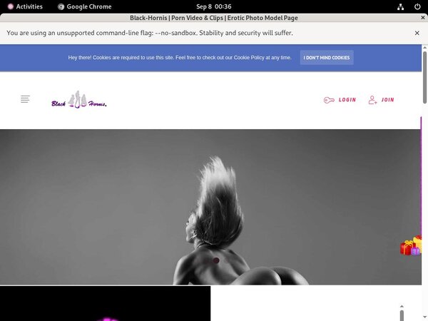 Free Black-hornis.net Access