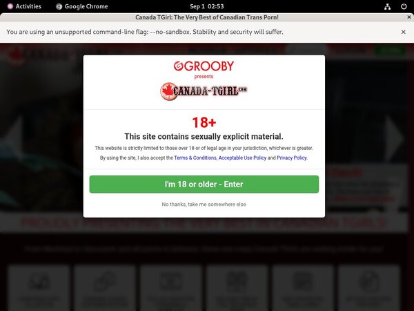 Free Canadatgirl Premium Passwords