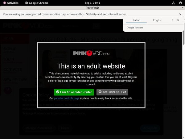 Free Pink O VOD Account Password