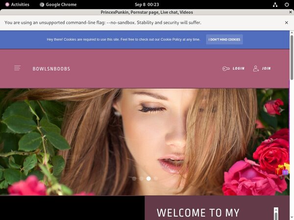 FreePrincexPunkinaccounts