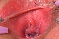 Gape My Pussy Save Money s2