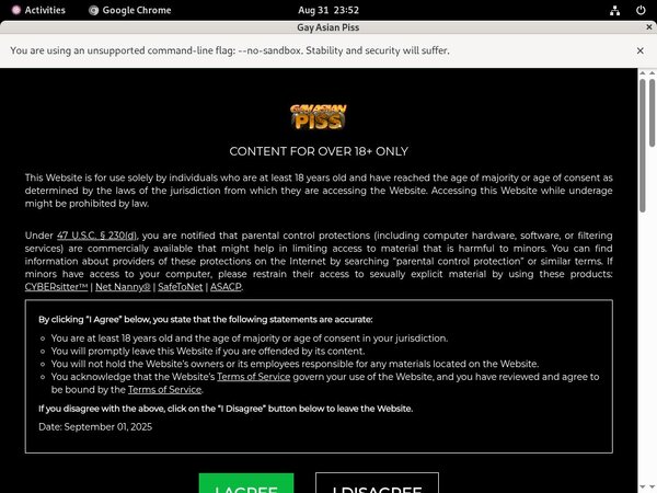 Gay Asian Piss Website