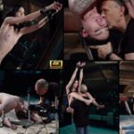 Get Free Subspace Land Passwords Get Free Subspace Land Passwords