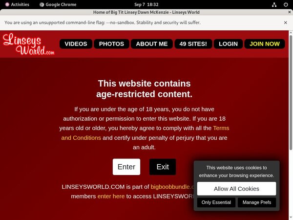 Get Linseys World Free Logins