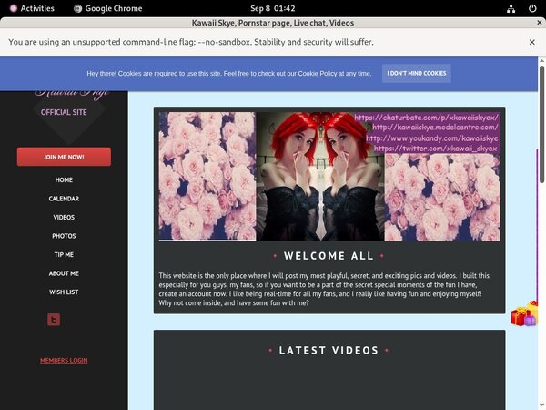 KawaiiSkye Discount Site