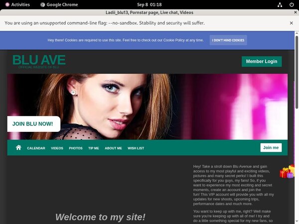 Ladiiblu13.modelcentro.com Wnu.com Page