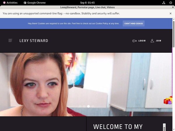 LexxySteward Passwords Blog