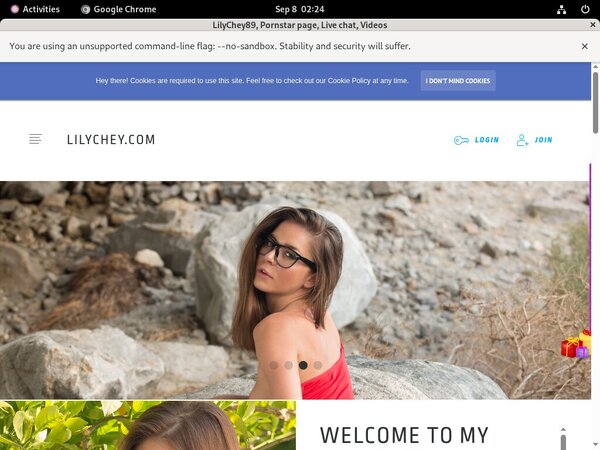 LilyChey89 Free Tour