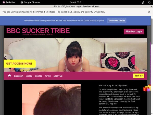 Linxer2013 Best Videos