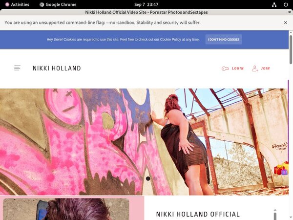 NikkiHolland Pay Pal