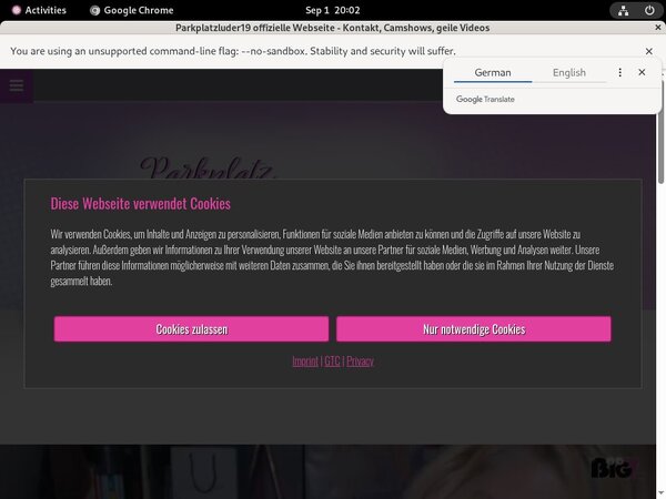 Parkplatzluder19 Passwords 2016