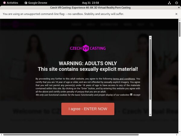 Passwords For Czechvrcasting.com