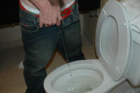 Pissingboys Logins s5