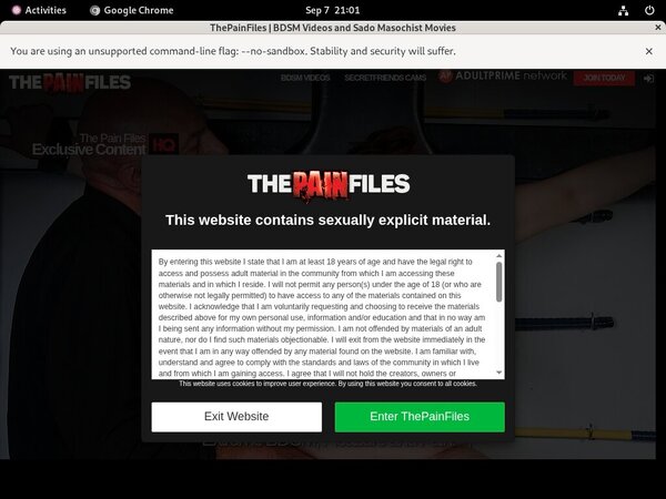 Porno The Pain Files