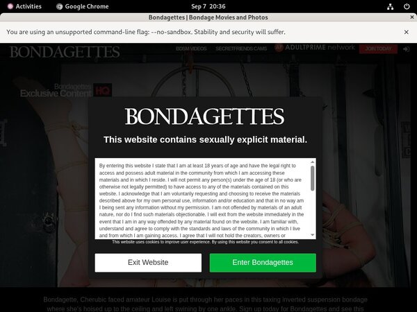 Premium Bondagettes.com Accounts Premium Bondagettes.com Accounts