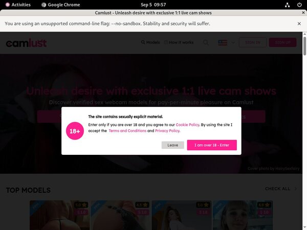 Premium Camlust Account Free