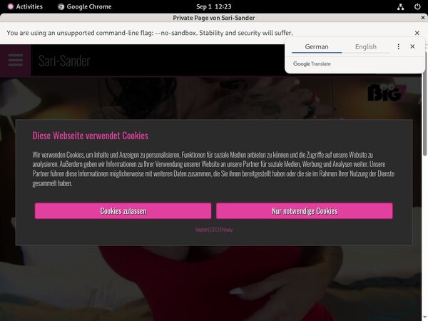 Sari Sander Subscription Sari Sander Subscription