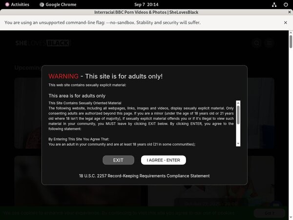 She Loves Black Porn Password
