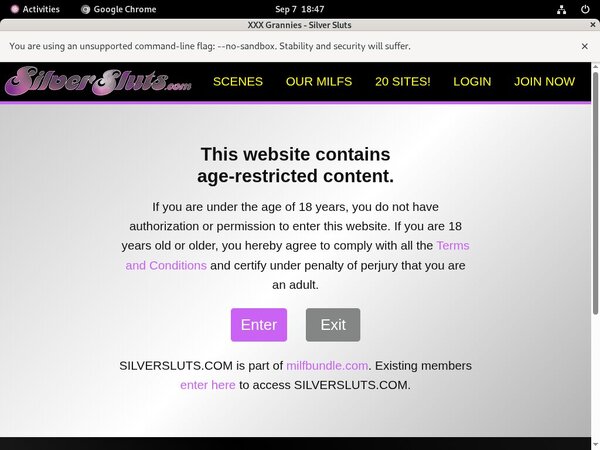 Silversluts Passcodes