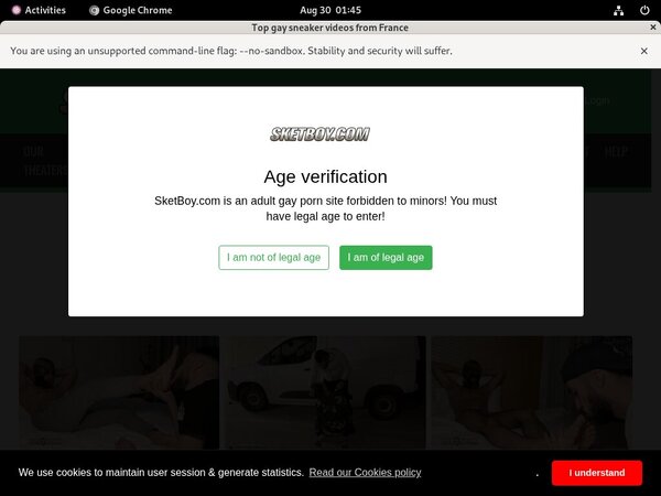 [Image: Sketboy-Password-Details.jpg]