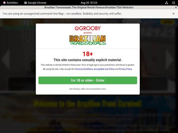 Special Brazilian Transsexuals Discount