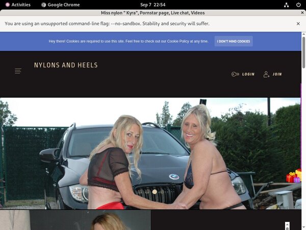 Stockingsandhighheels.com Desktop