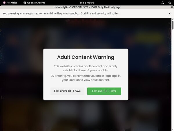 Valid Helloladyboy.com Passwords