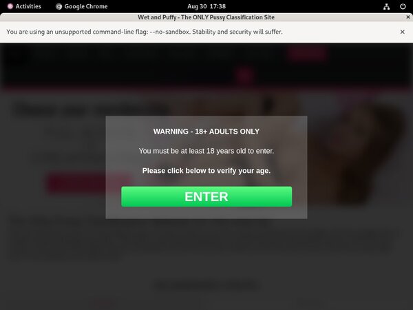 Wetandpuffy.com Premium Passwords