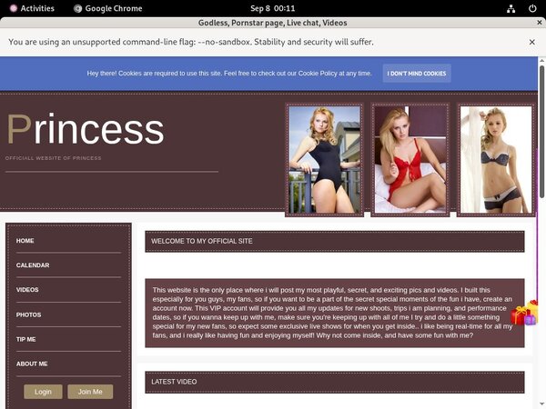 Cardboard.modelcentro.com Order Page