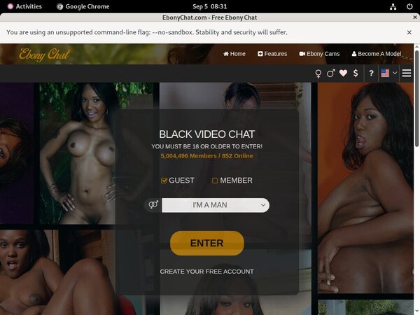 Ebony Chat Form