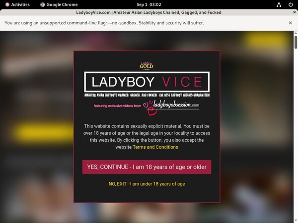 Free Ladyboyvice.com Sign Up