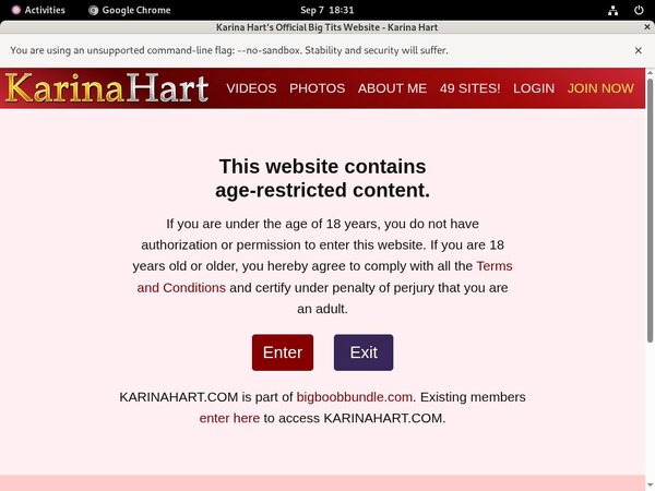Karina Hart Porn Account