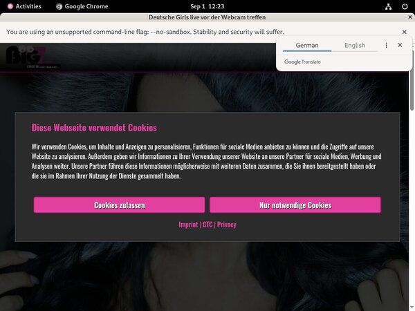 Lana Giselle Valid Password