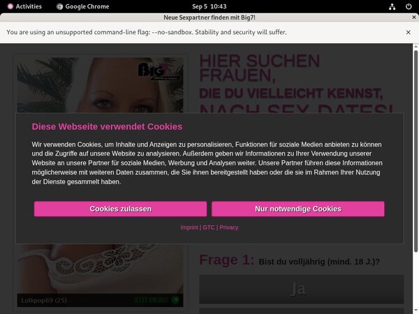 Logins Your Secret Dream Free