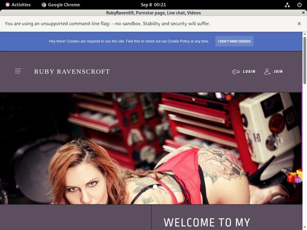 Rubyraven69.modelcentro.com User And Password