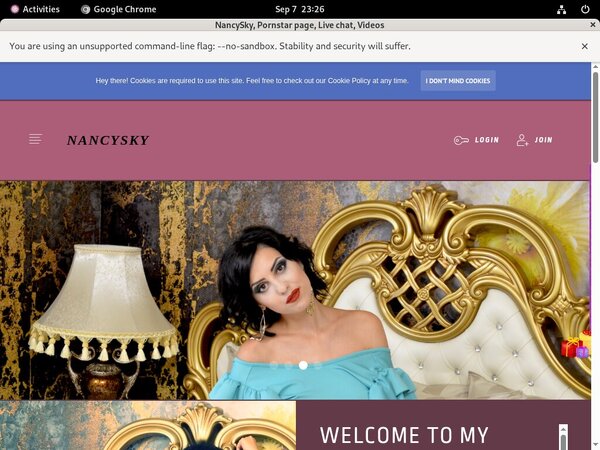 NancySky Office